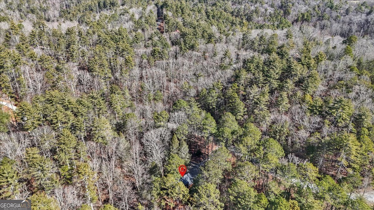 61 Grove Lane Ellijay - Photo 52