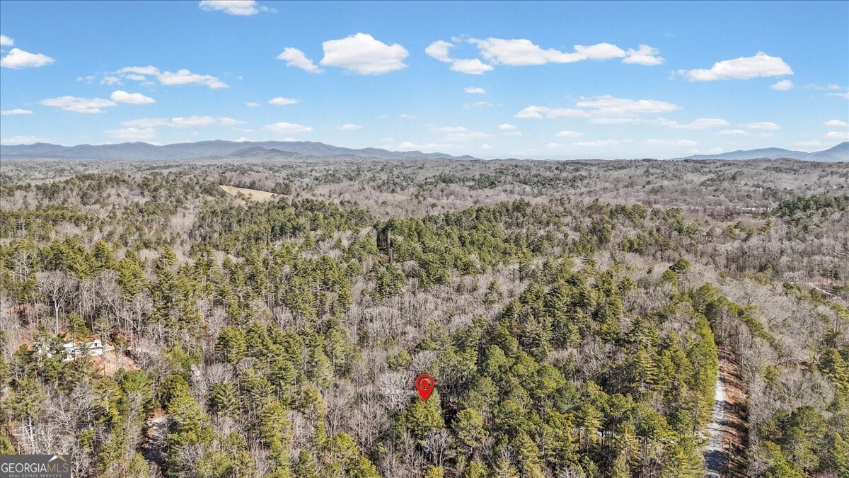 61 Grove Lane Ellijay - Photo 53