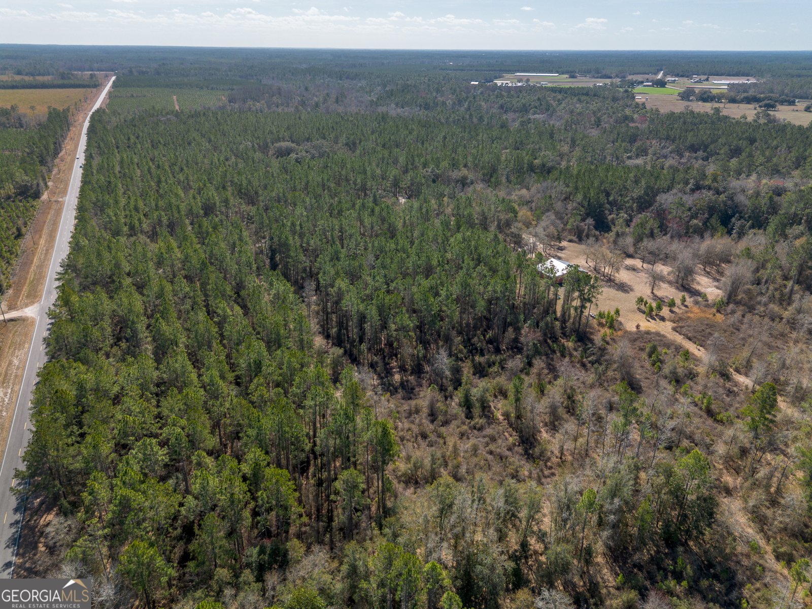 TRACT 2 - 12321 Highway 185 St. George - Photo 11