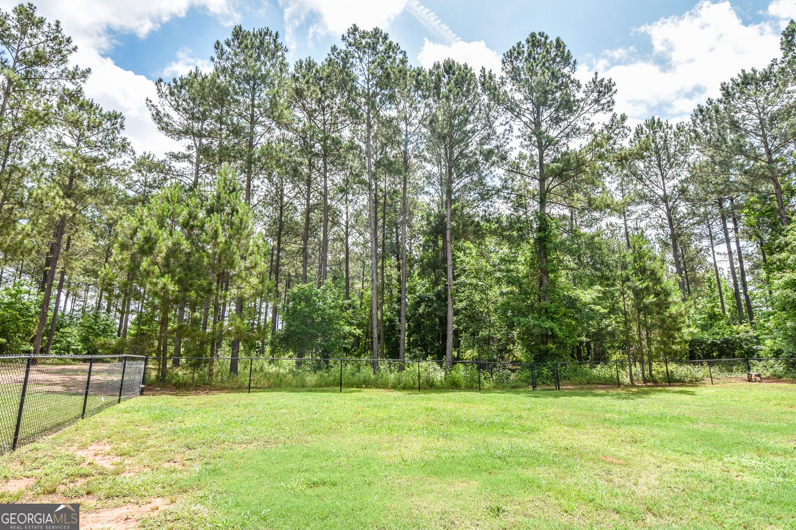 111 Needleleaf Court Barnesville - Photo 73