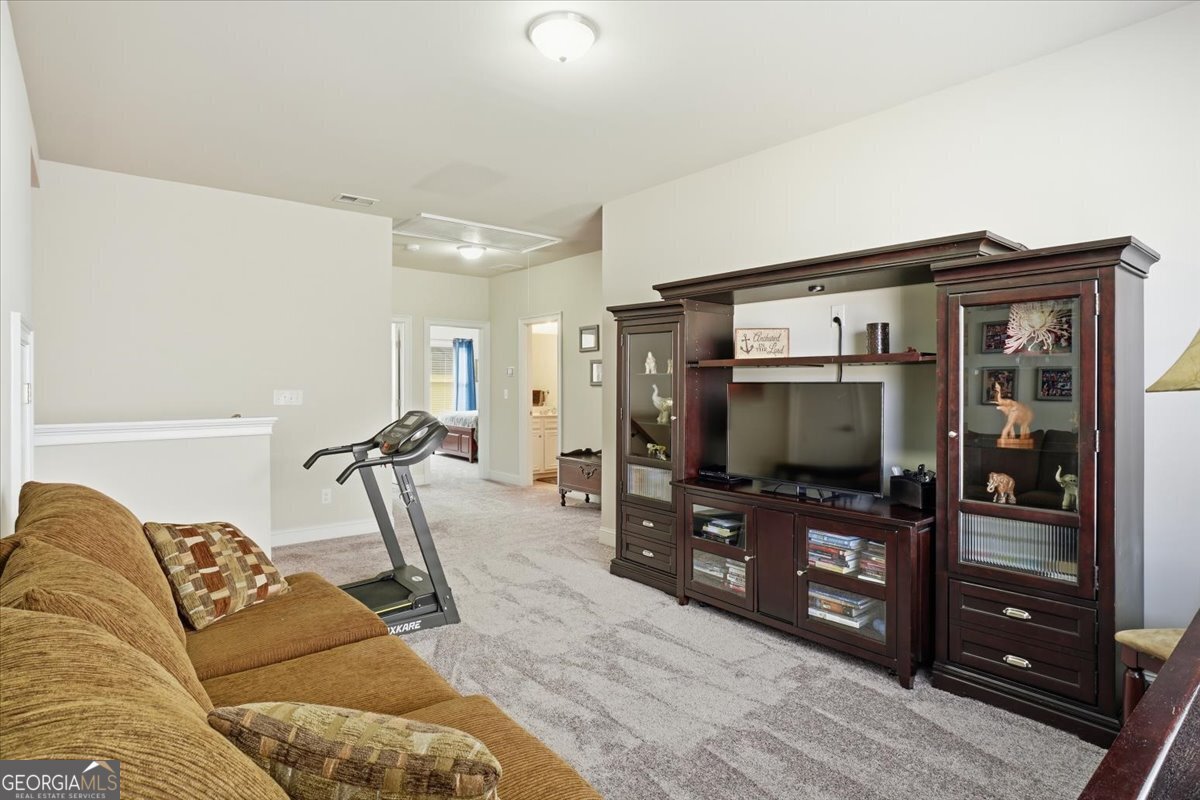 445 Broadmoor Drive Braselton - Photo 29