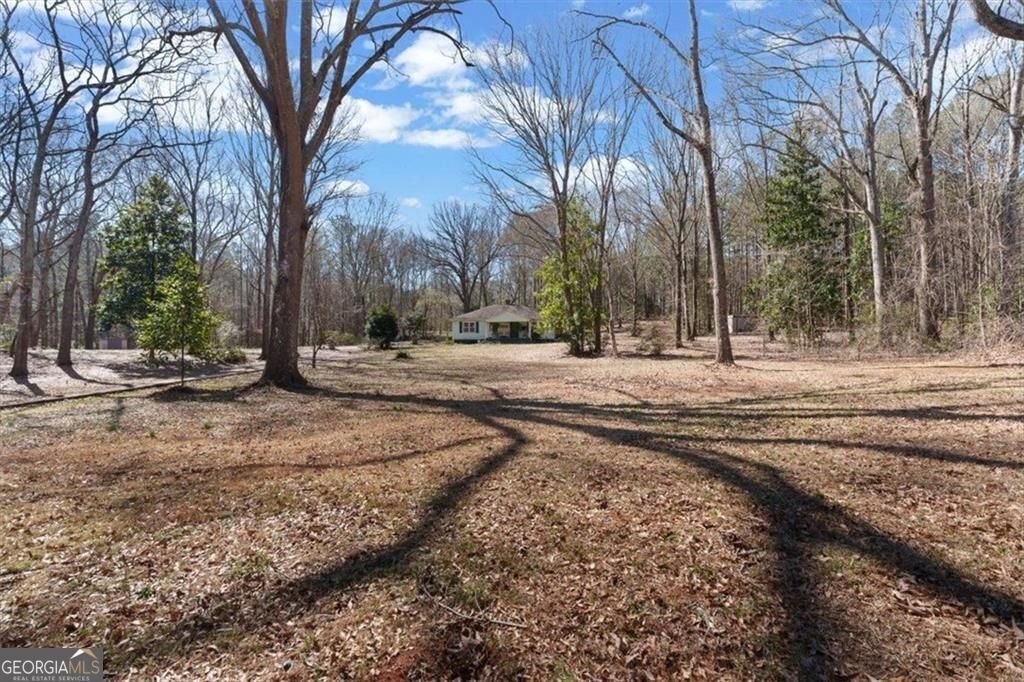 150 Old Hwy 138 Fayetteville - Photo 33