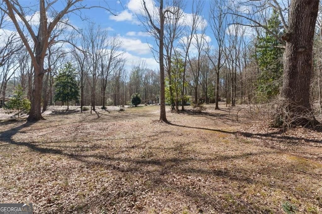 150 Old Hwy 138 Fayetteville - Photo 34