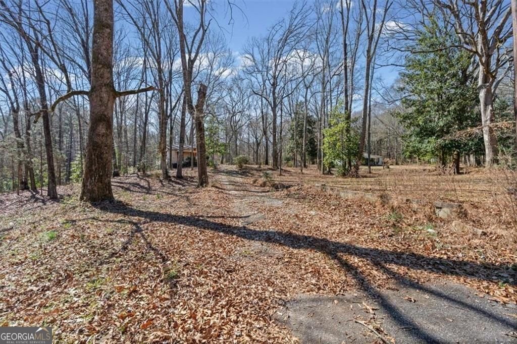 150 Old Hwy 138 Fayetteville - Photo 54