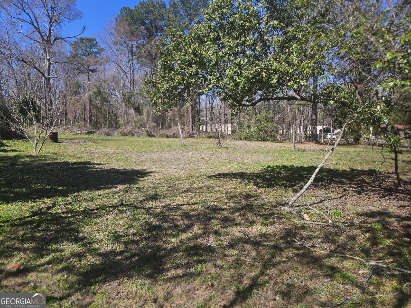 401 Ogeechee Street Sylvania - Photo 21