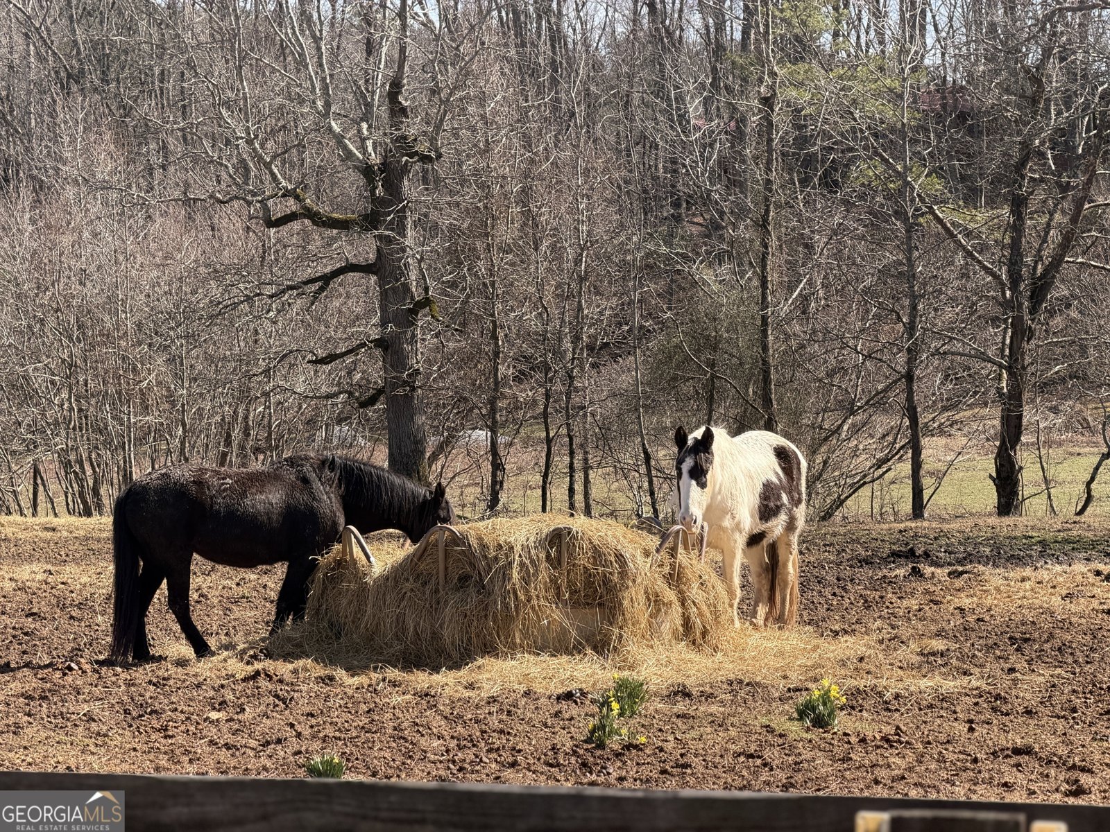 175 Yogi Bear Boulevard Cleveland - Photo 32