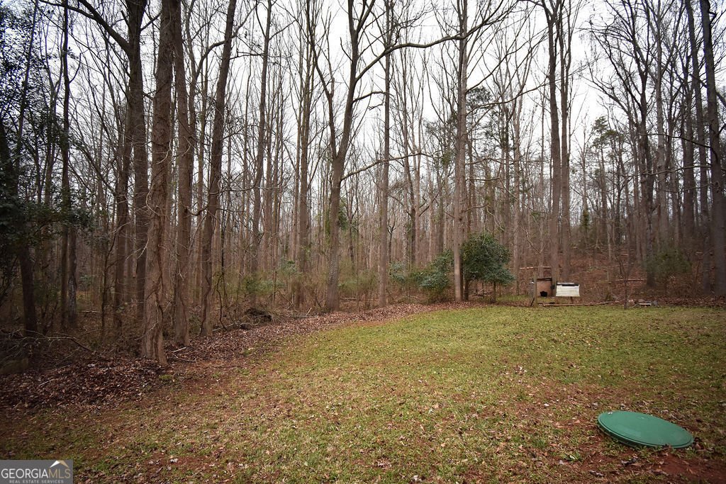 167 Woodpecker Lane Nicholson - Photo 49