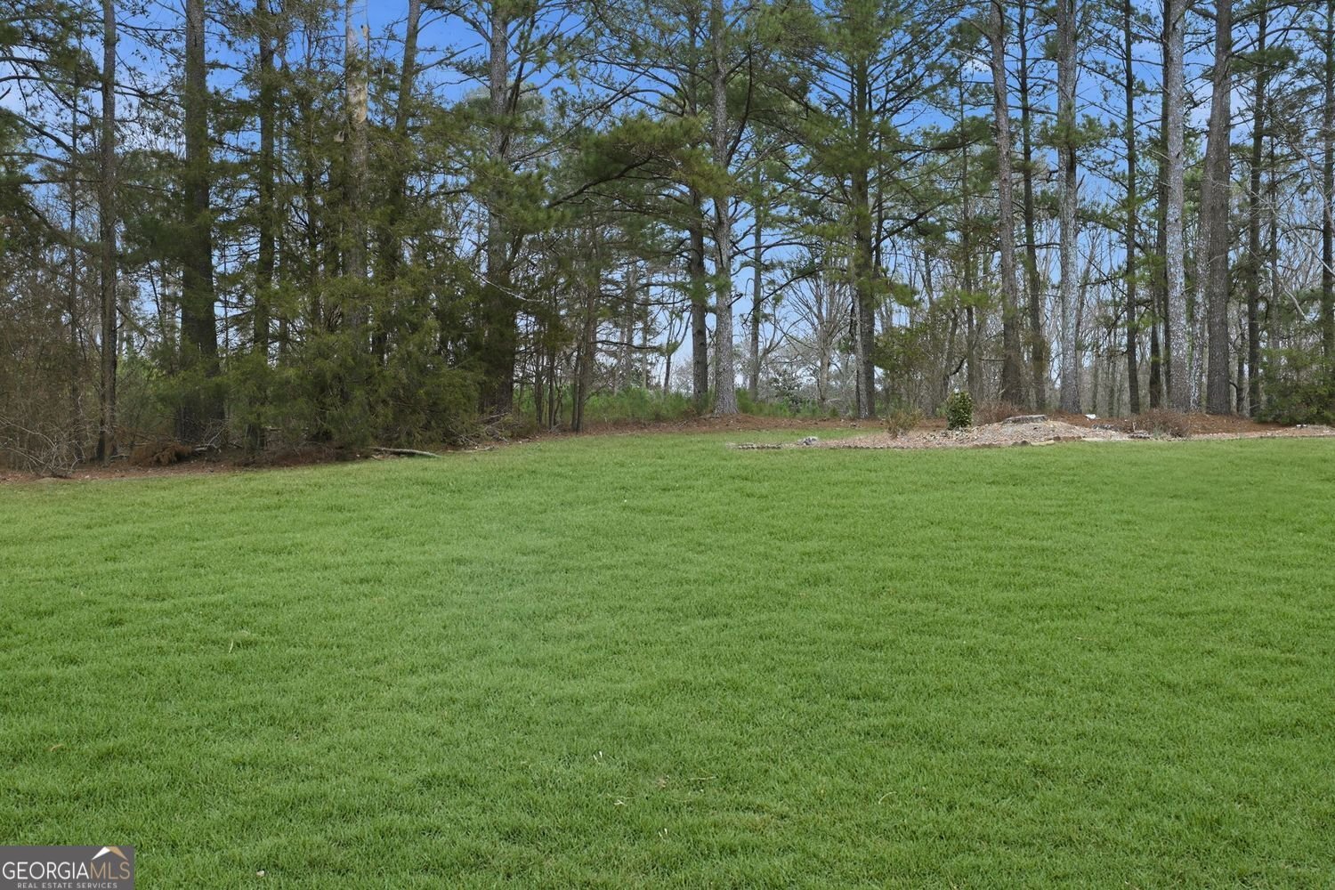 1554 Beaver Creek Lane Snellville - Photo 45