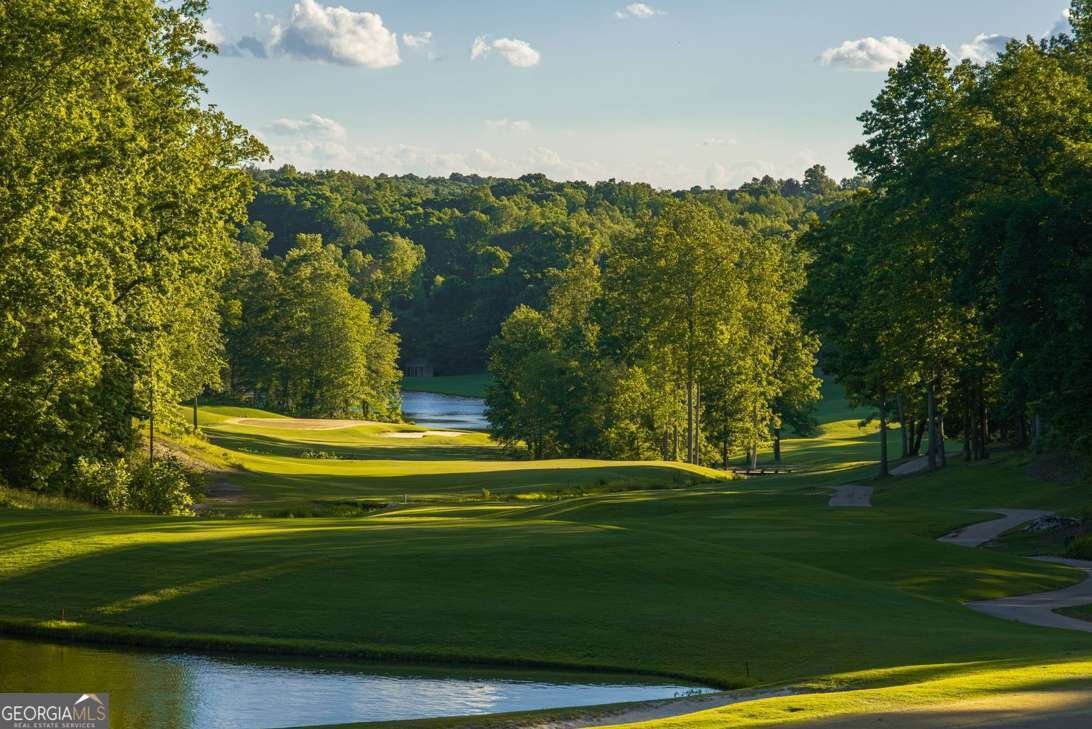 9 Fieldstone Court Dawsonville - Photo 78