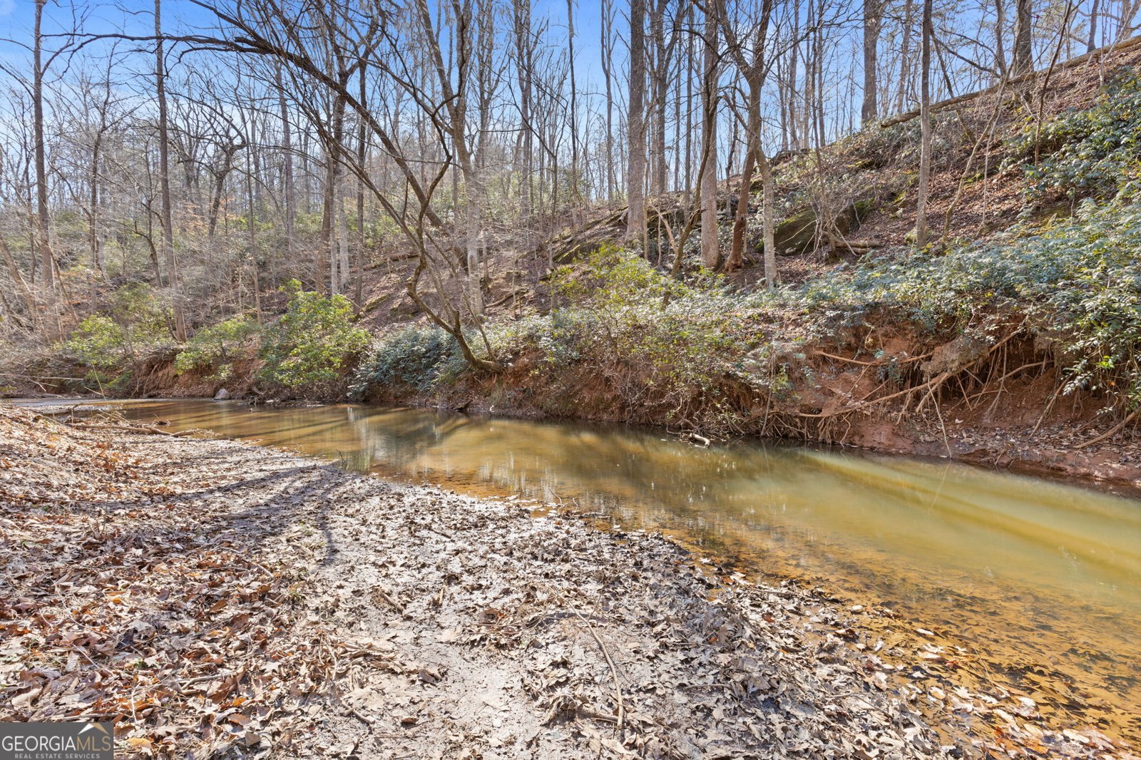 4732 Walnut Bend Drive Gainesville - Photo 66