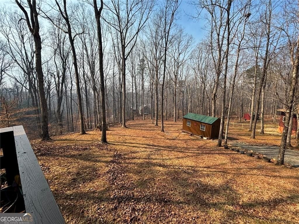 163 Beauregards Knob Ellijay - Photo 11
