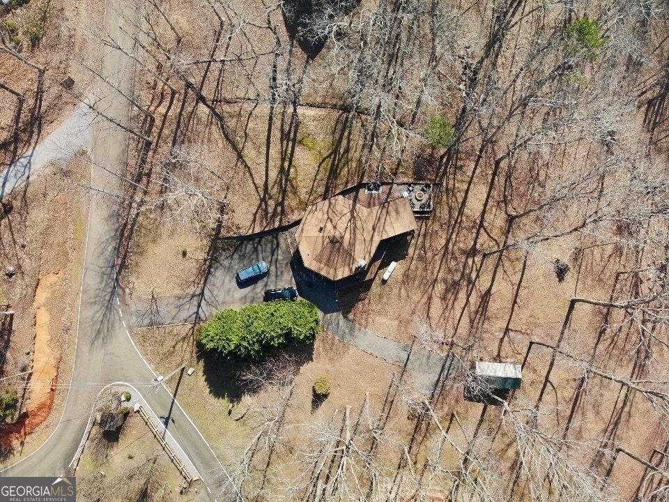 163 Beauregards Knob Ellijay - Photo 12