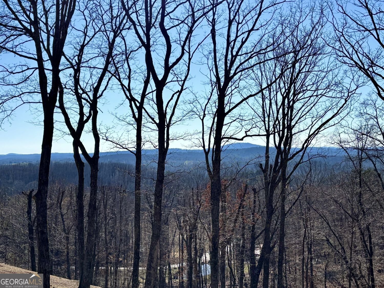 163 Beauregards Knob Ellijay - Photo 35