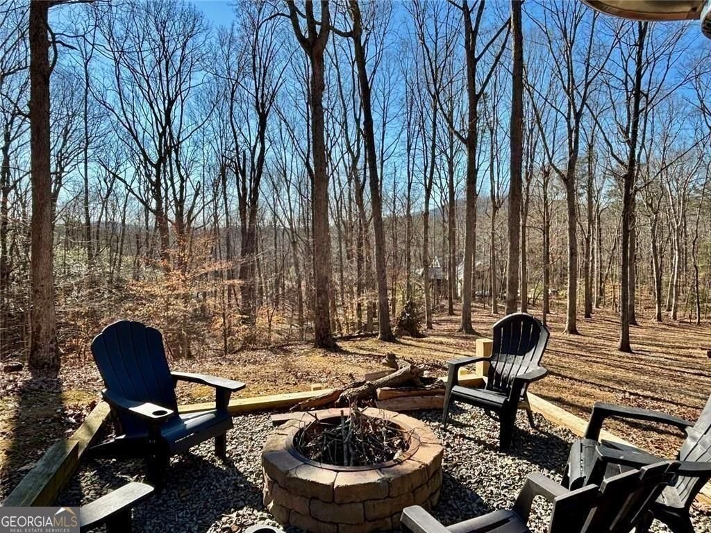 163 Beauregards Knob Ellijay - Photo 41