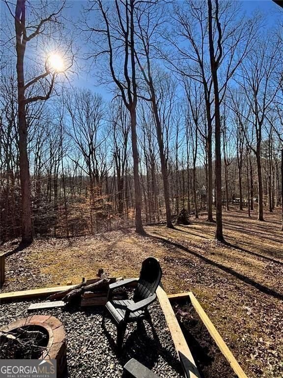 163 Beauregards Knob Ellijay - Photo 44