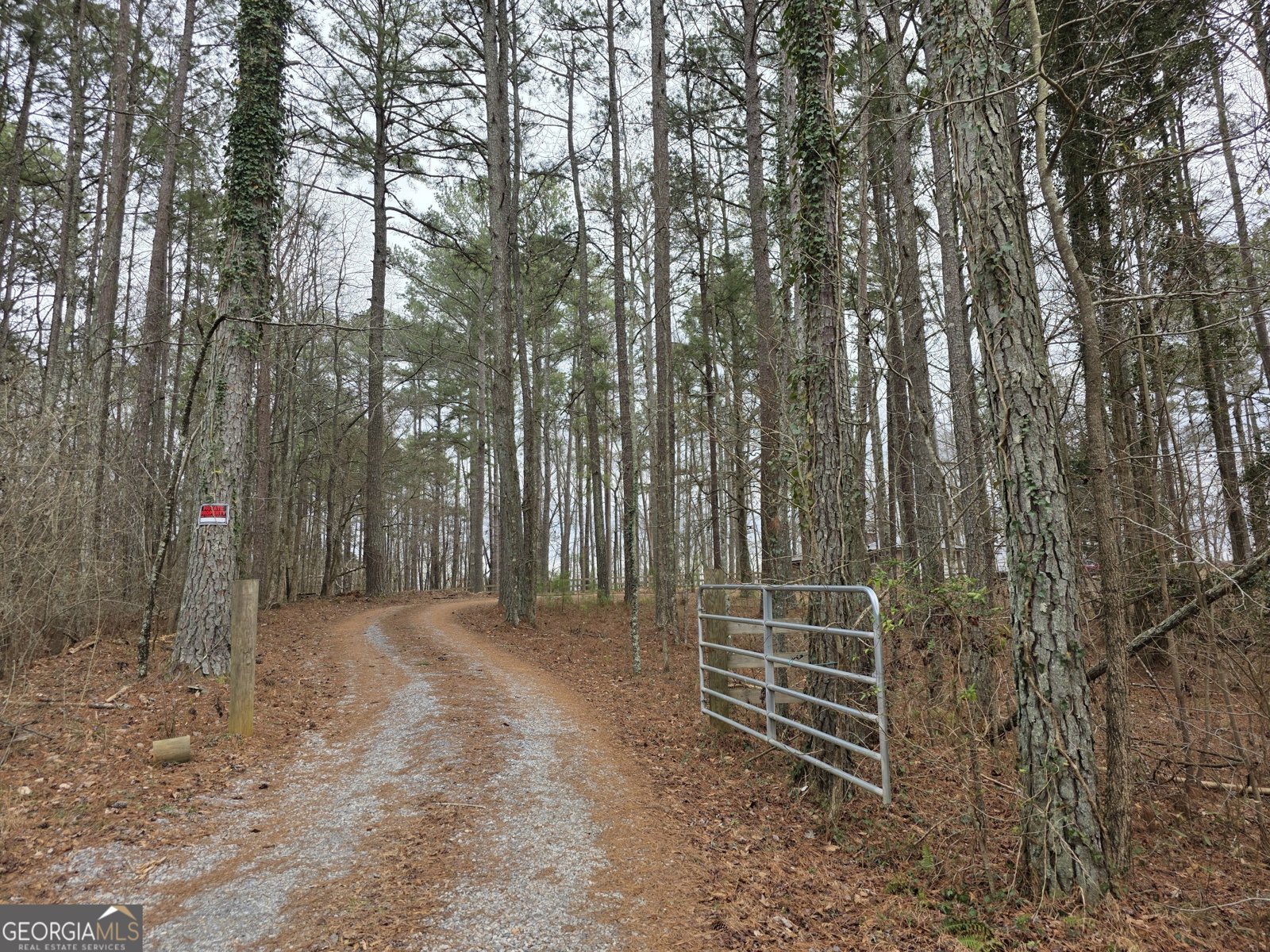 731 Seabreeze Lake Road Buchanan - Photo 1