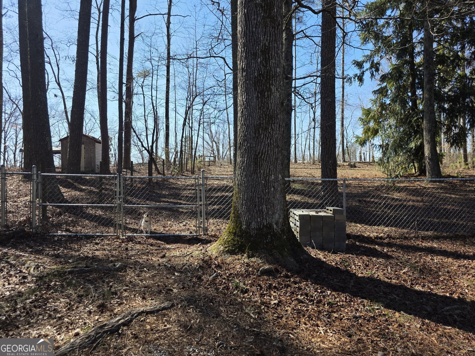 731 Seabreeze Lake Road Buchanan - Photo 34