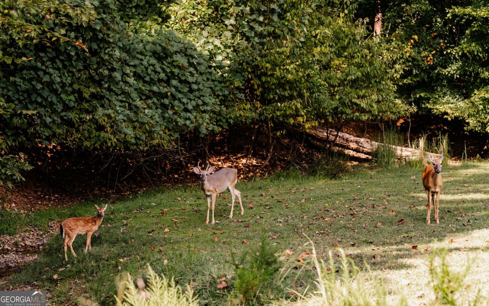 107 23rd Street Ellijay - Photo 43