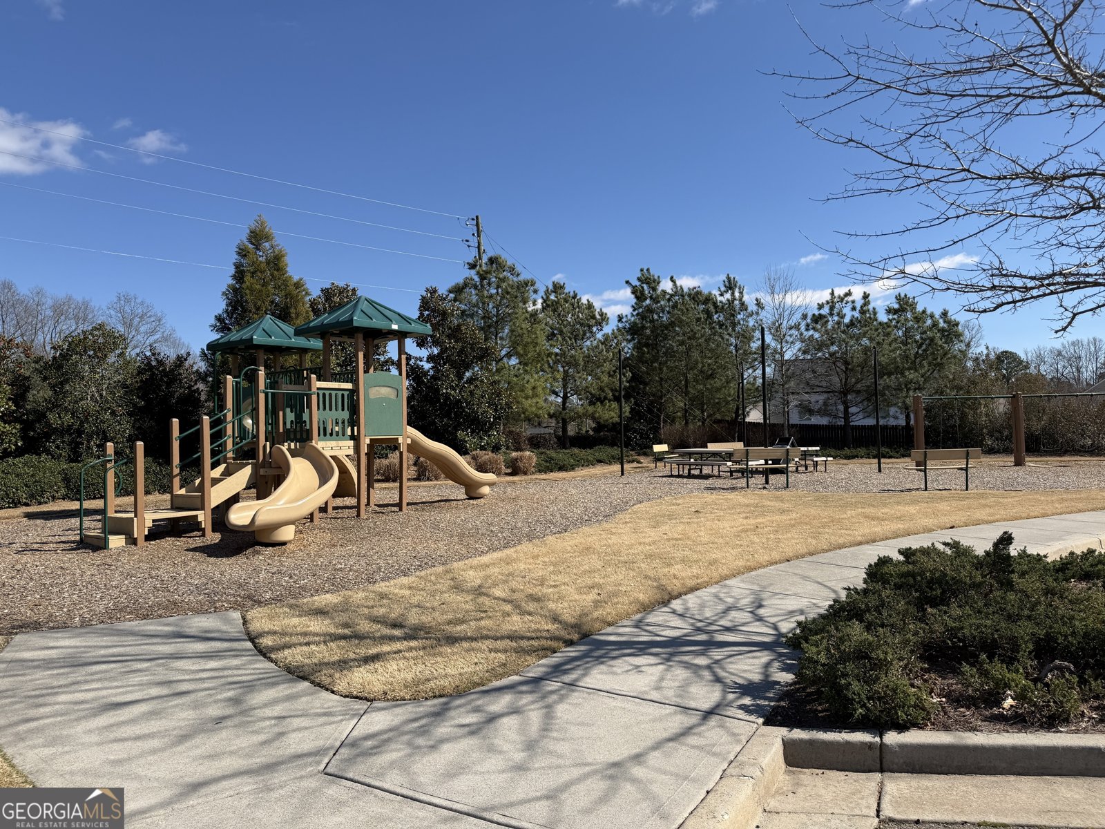 100 Meadowlark Way Dawsonville - Photo 66