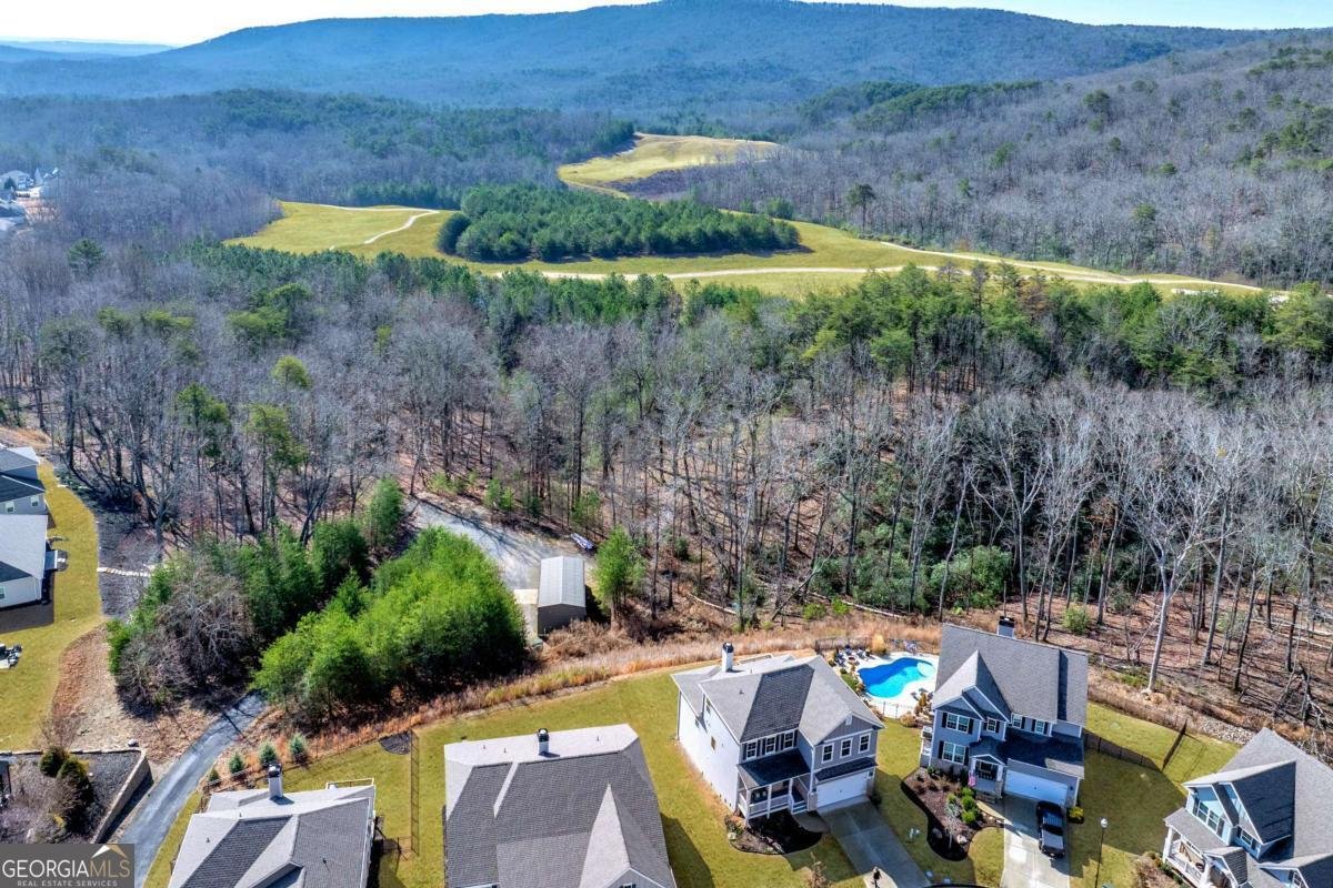 609 Spring Water Waleska - Photo 52