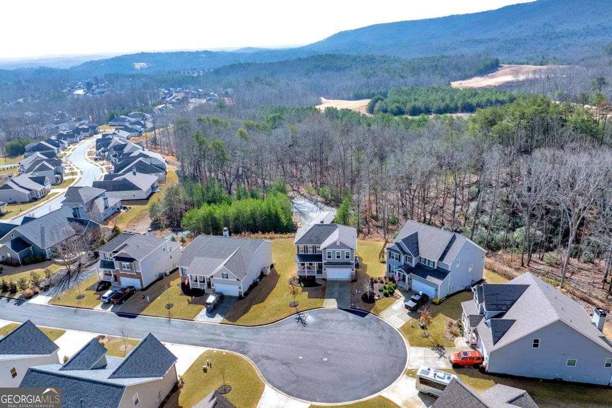 609 Spring Water Waleska - Photo 53