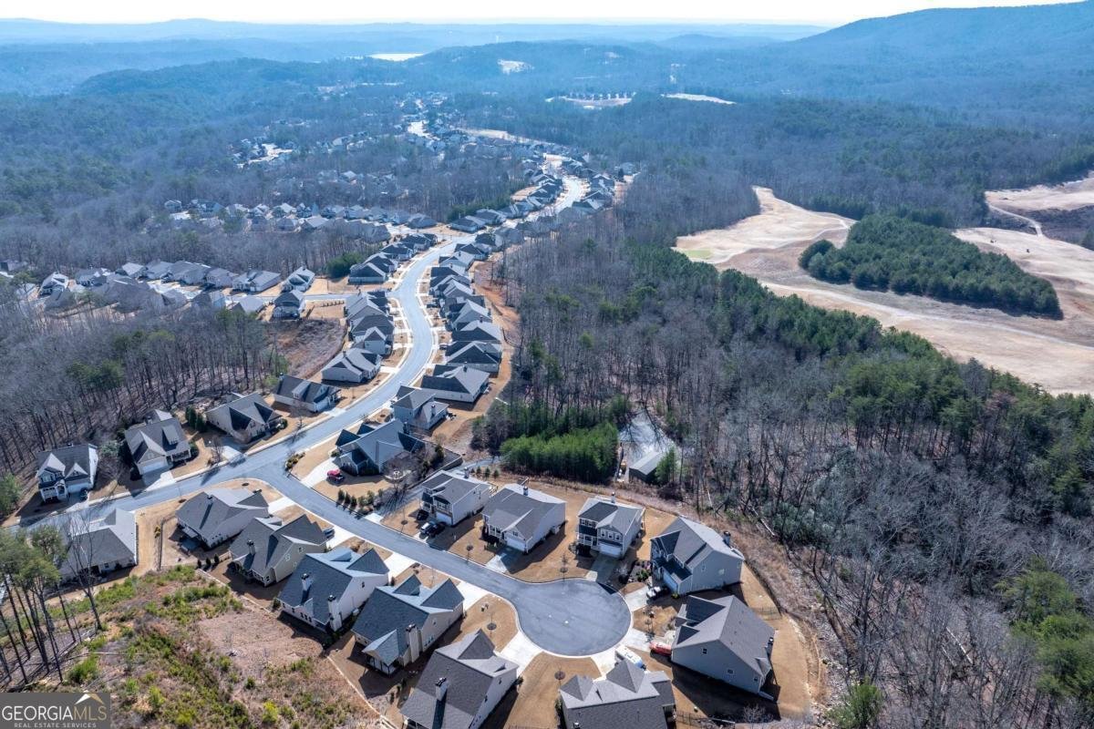 609 Spring Water Waleska - Photo 54