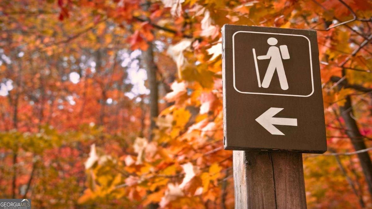 609 Spring Water Waleska - Photo 55