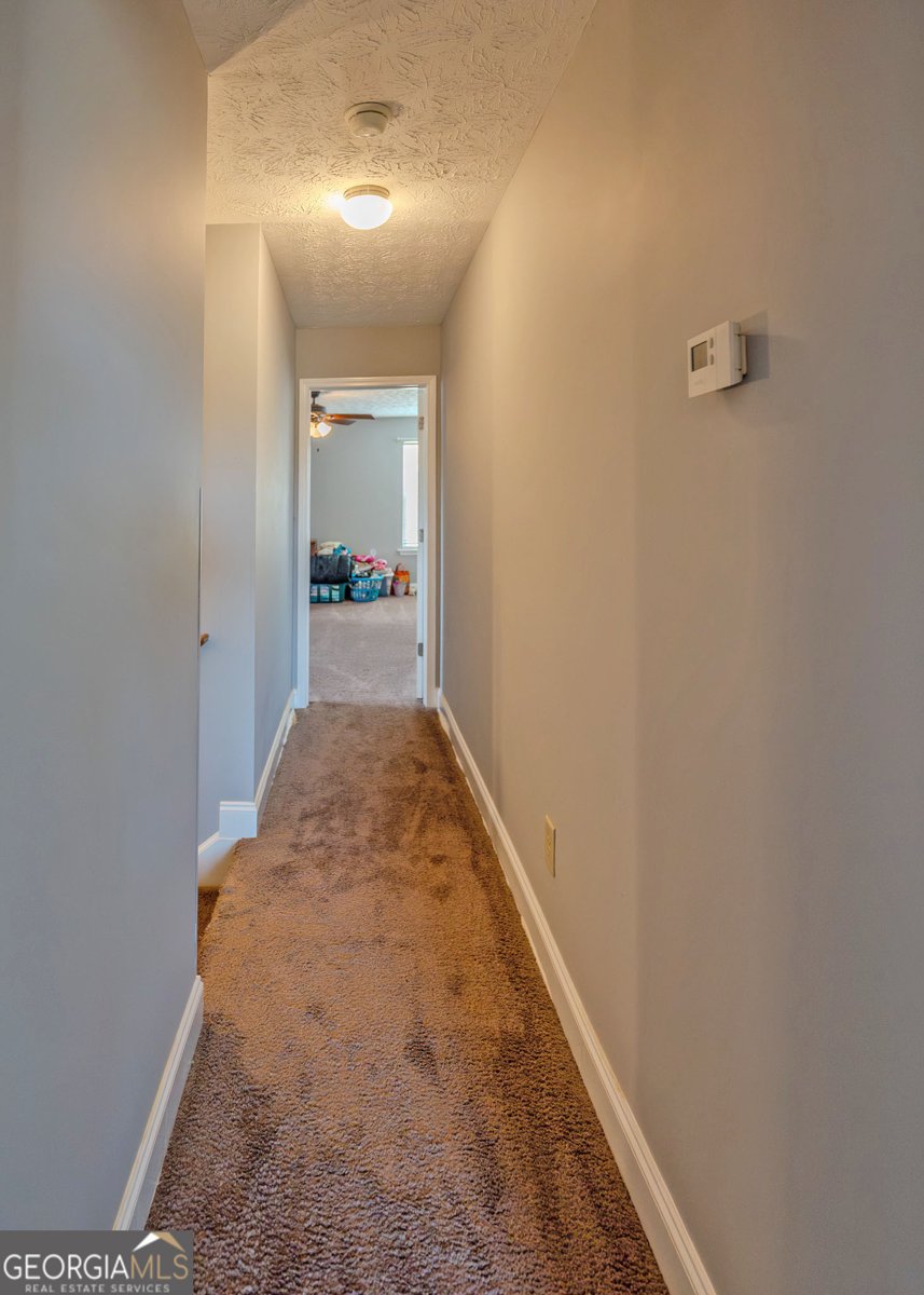 1363 McFarlin Bridge Road Carnesville - Photo 24