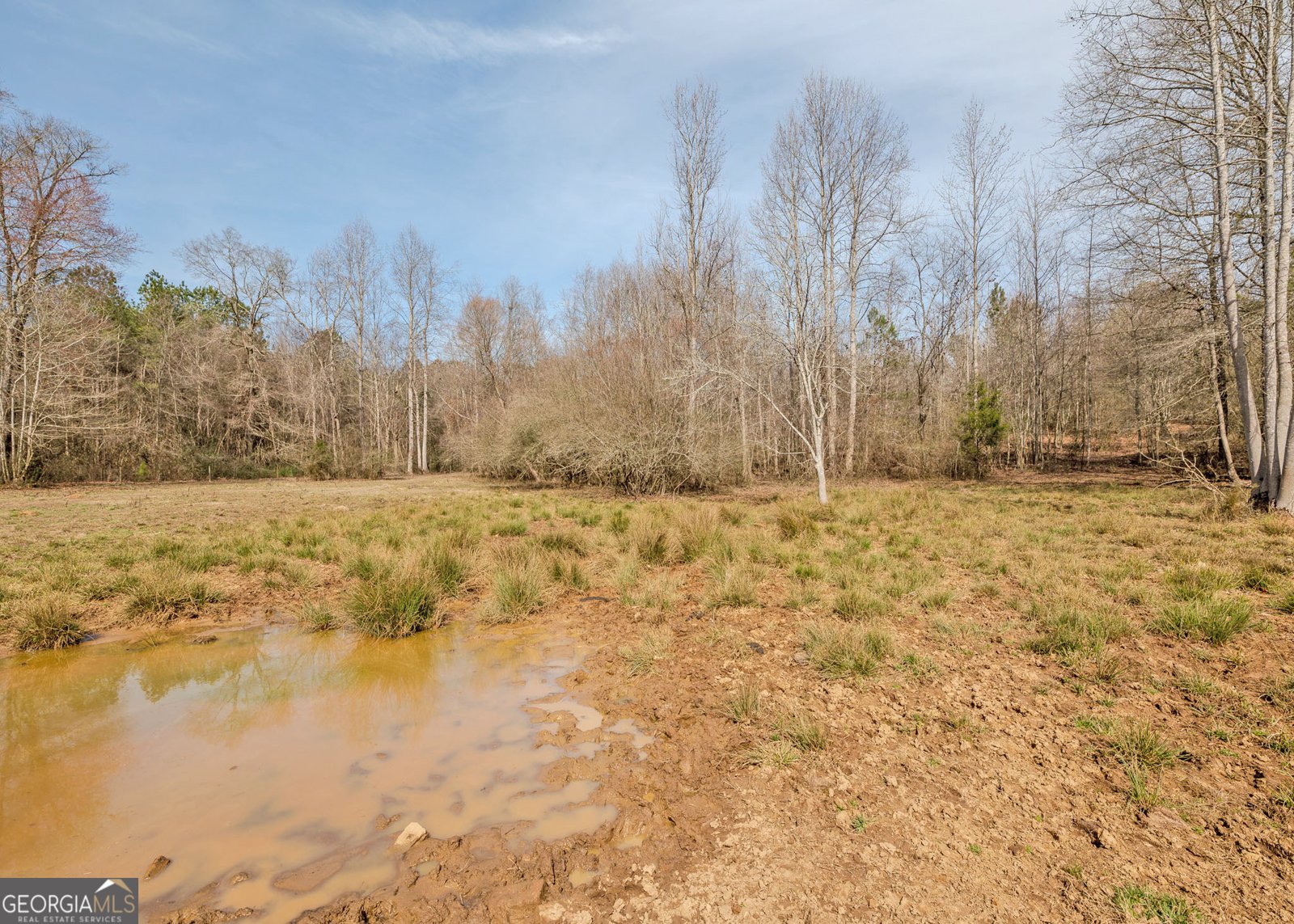 1363 McFarlin Bridge Road Carnesville - Photo 56