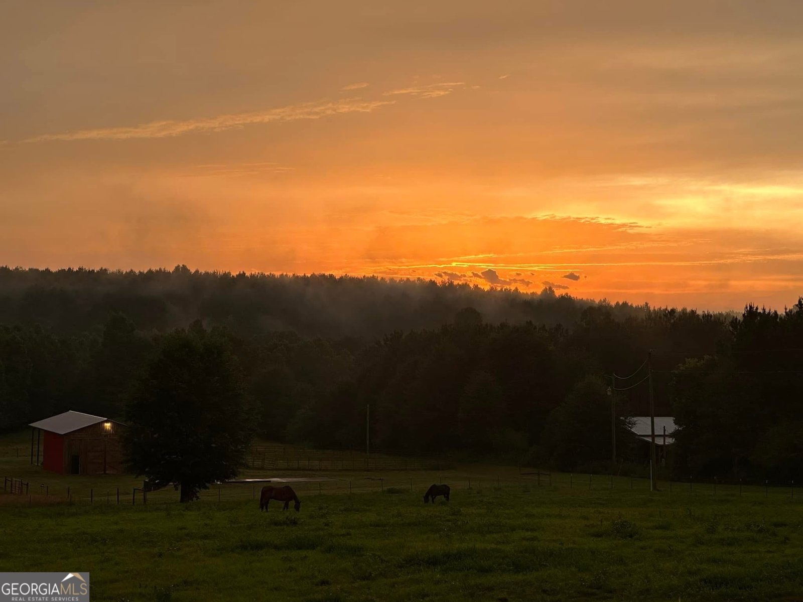 1363 McFarlin Bridge Road Carnesville - Photo 68
