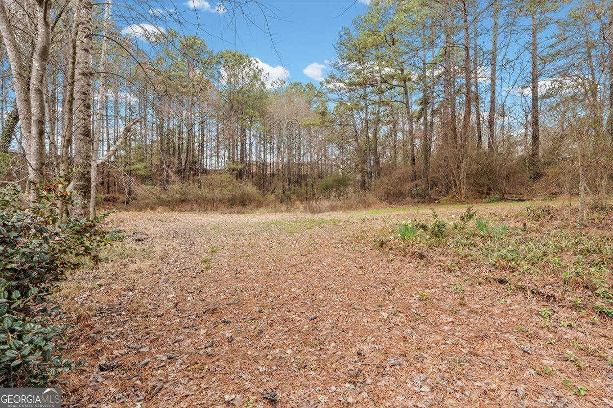 783 Pine Ridge Drive Stone Mountain - Photo 29