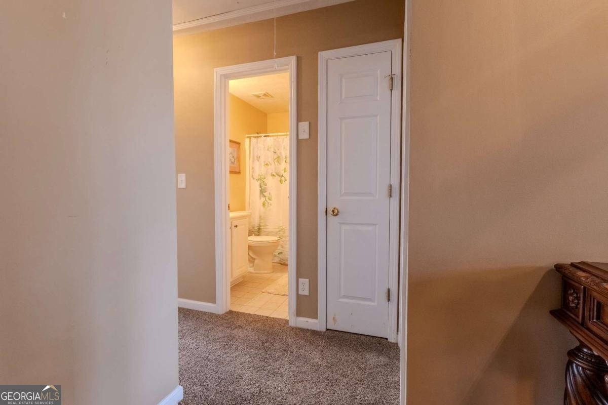 3385 Stoneleigh Run Drive Buford - Photo 17