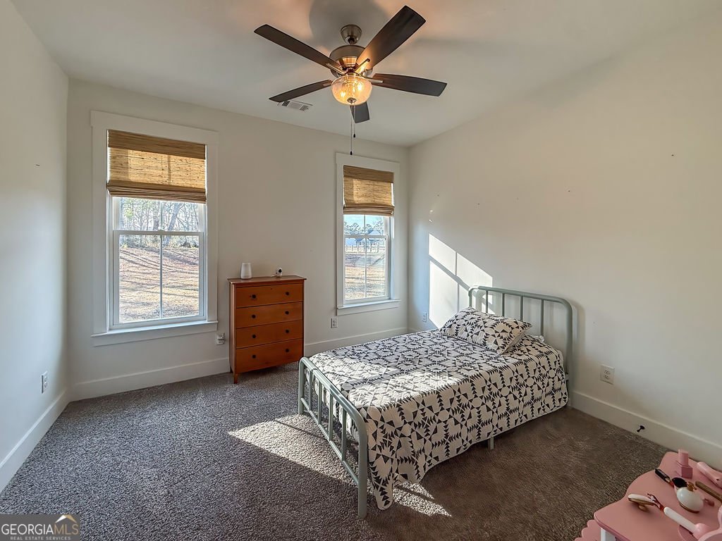 1534 Powell Church Road Harlem - Photo 30