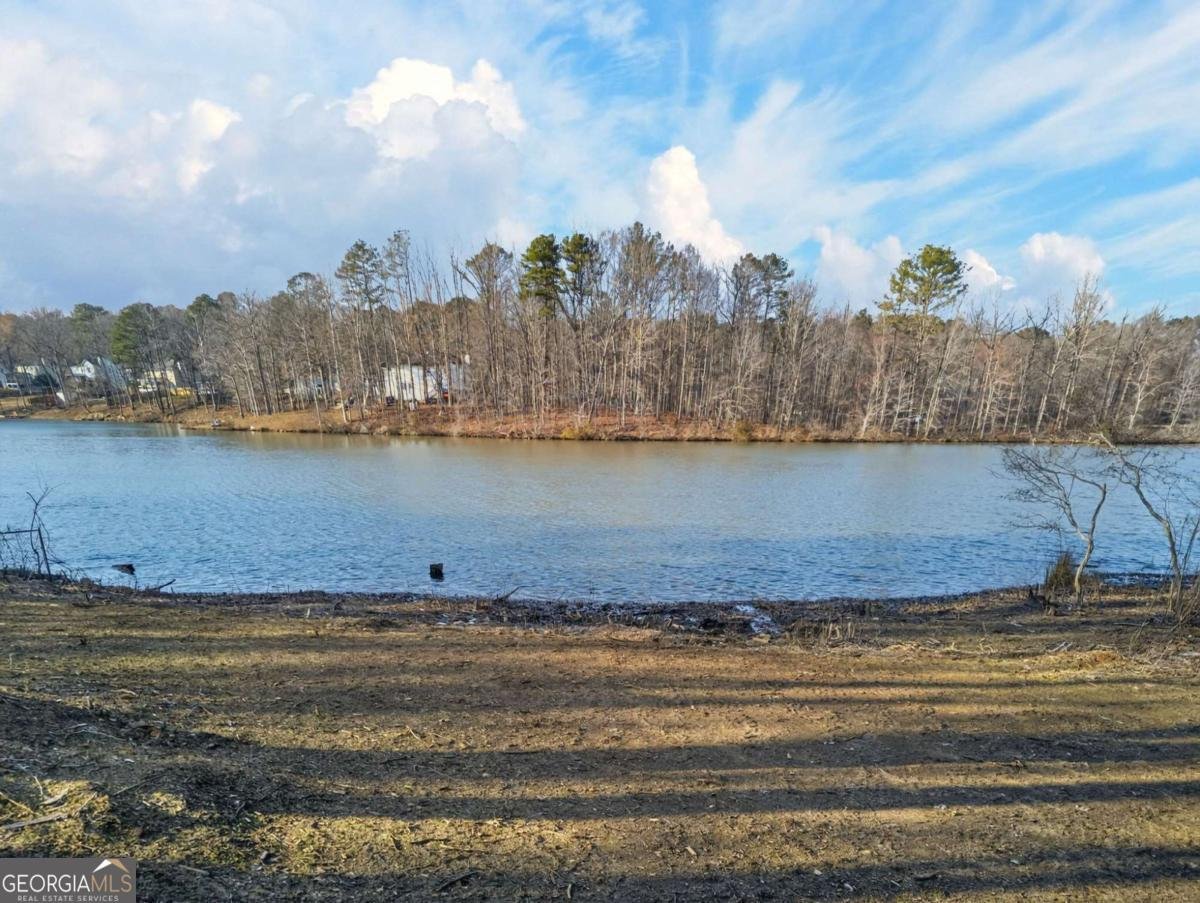 511 Lakeside Drive Hiram - Photo 51