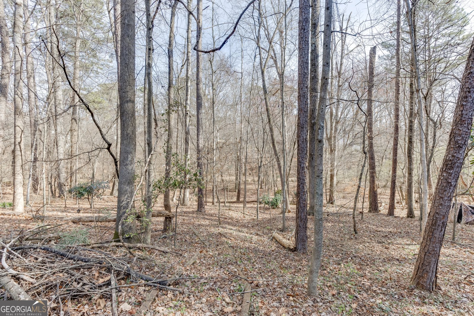 120 Timber Springs Way Lawrenceville - Photo 54