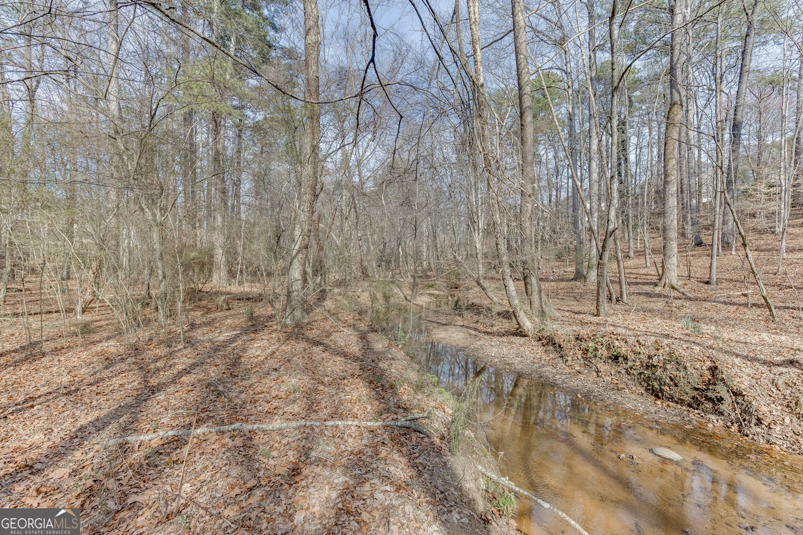 120 Timber Springs Way Lawrenceville - Photo 55
