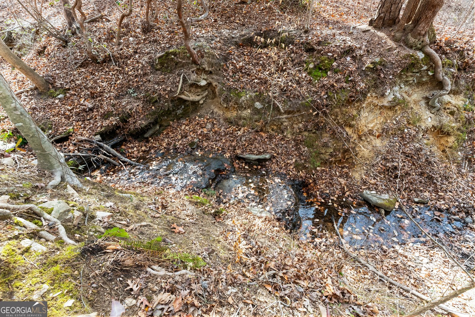 5011 Weaver Road Gainesville - Photo 58