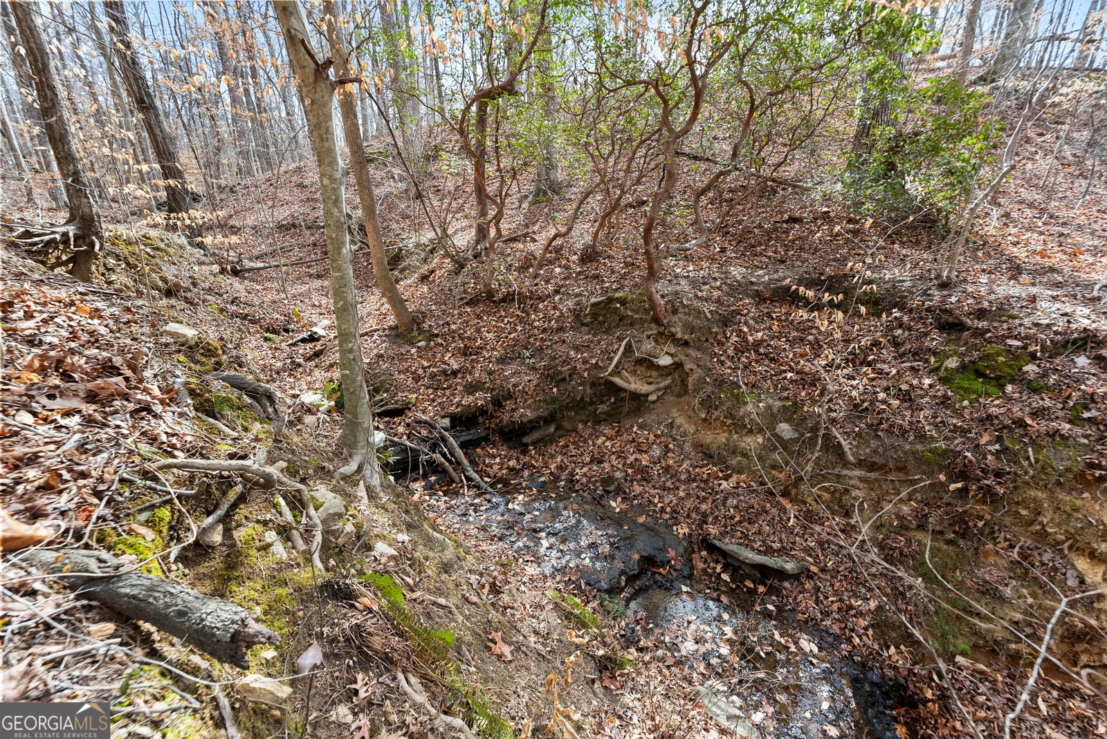 5011 Weaver Road Gainesville - Photo 59