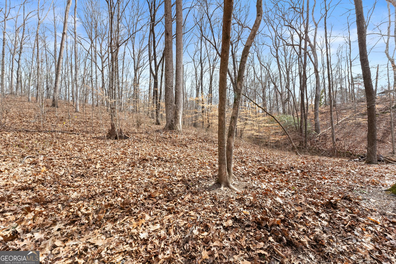 5011 Weaver Road Gainesville - Photo 60