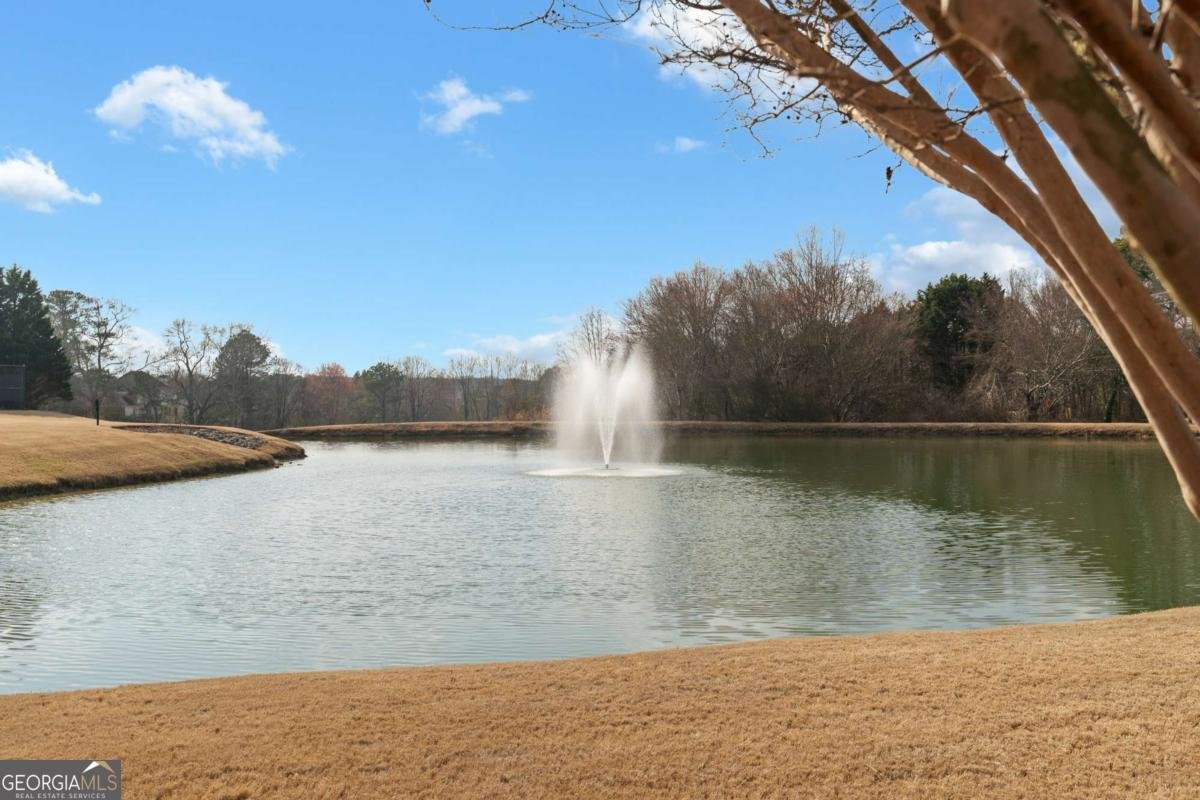 3092 Addie Pond Way Marietta - Photo 76