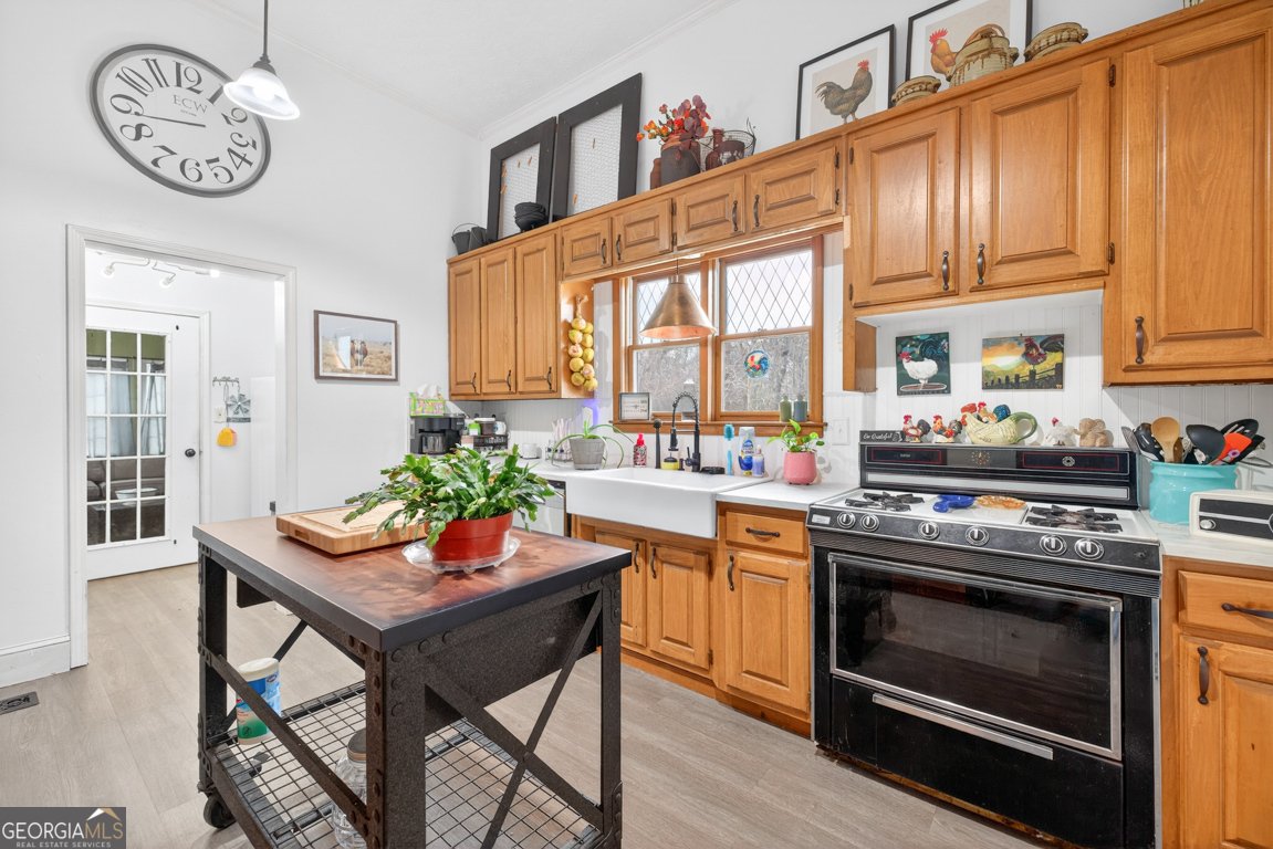 115 Lower Jersey Road Covington - Photo 13