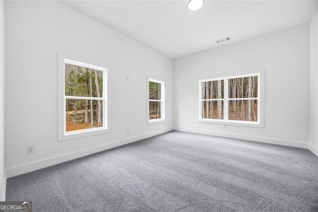 730 Primrose Lane Pendergrass - Photo 24