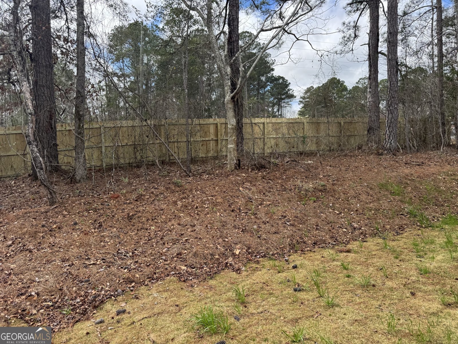 216 Oak Drive Pine Mountain - Photo 22