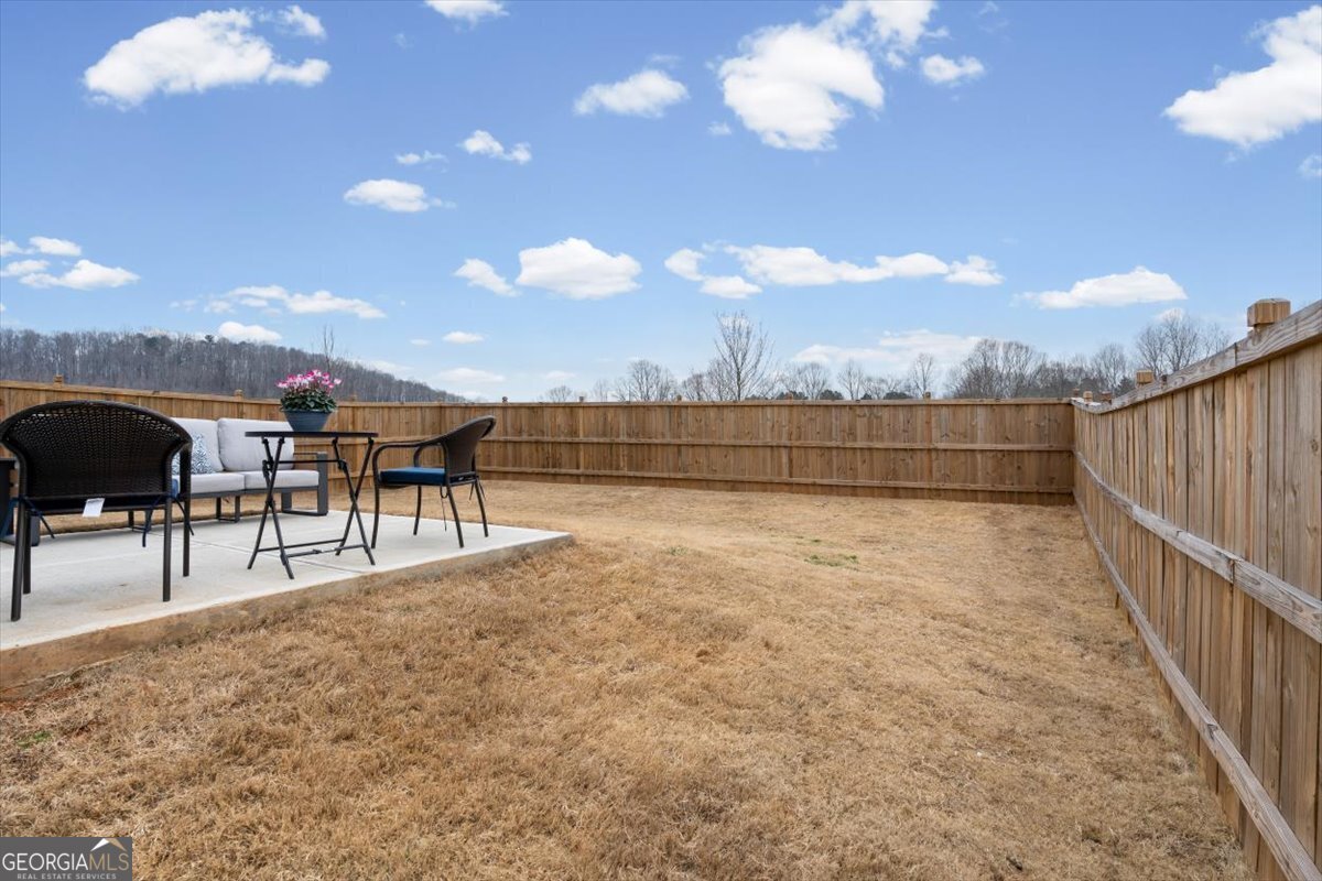 69 Briarwood Drive Dawsonville - Photo 31