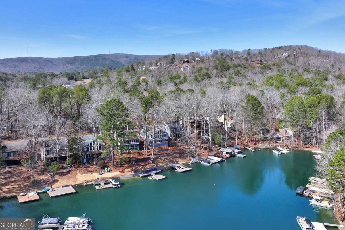 109 Narrows Drive Waleska - Photo 55