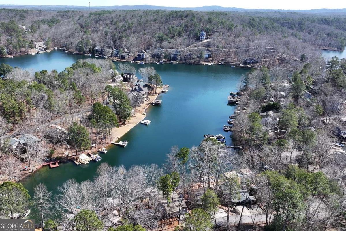 109 Narrows Drive Waleska - Photo 56