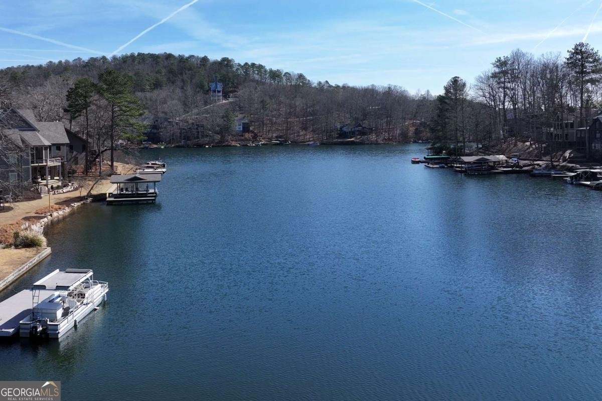 109 Narrows Drive Waleska - Photo 57