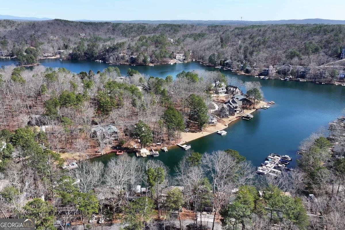 109 Narrows Drive Waleska - Photo 58