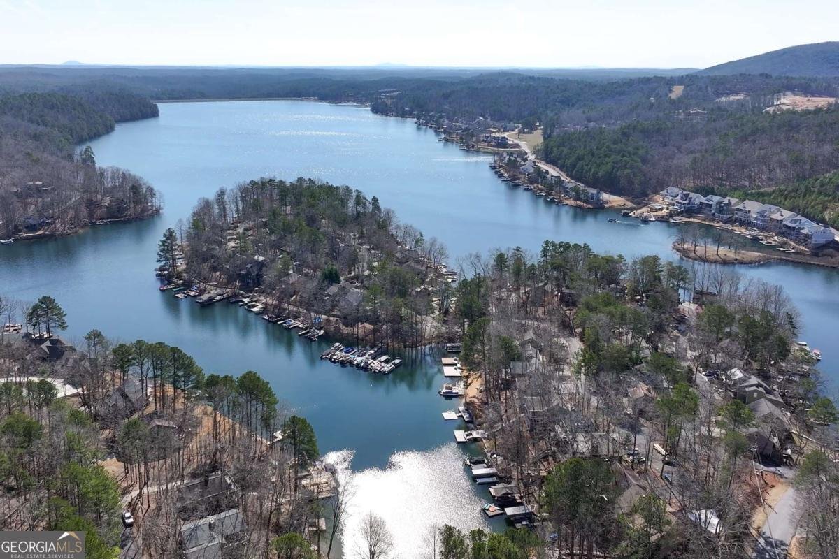 109 Narrows Drive Waleska - Photo 60