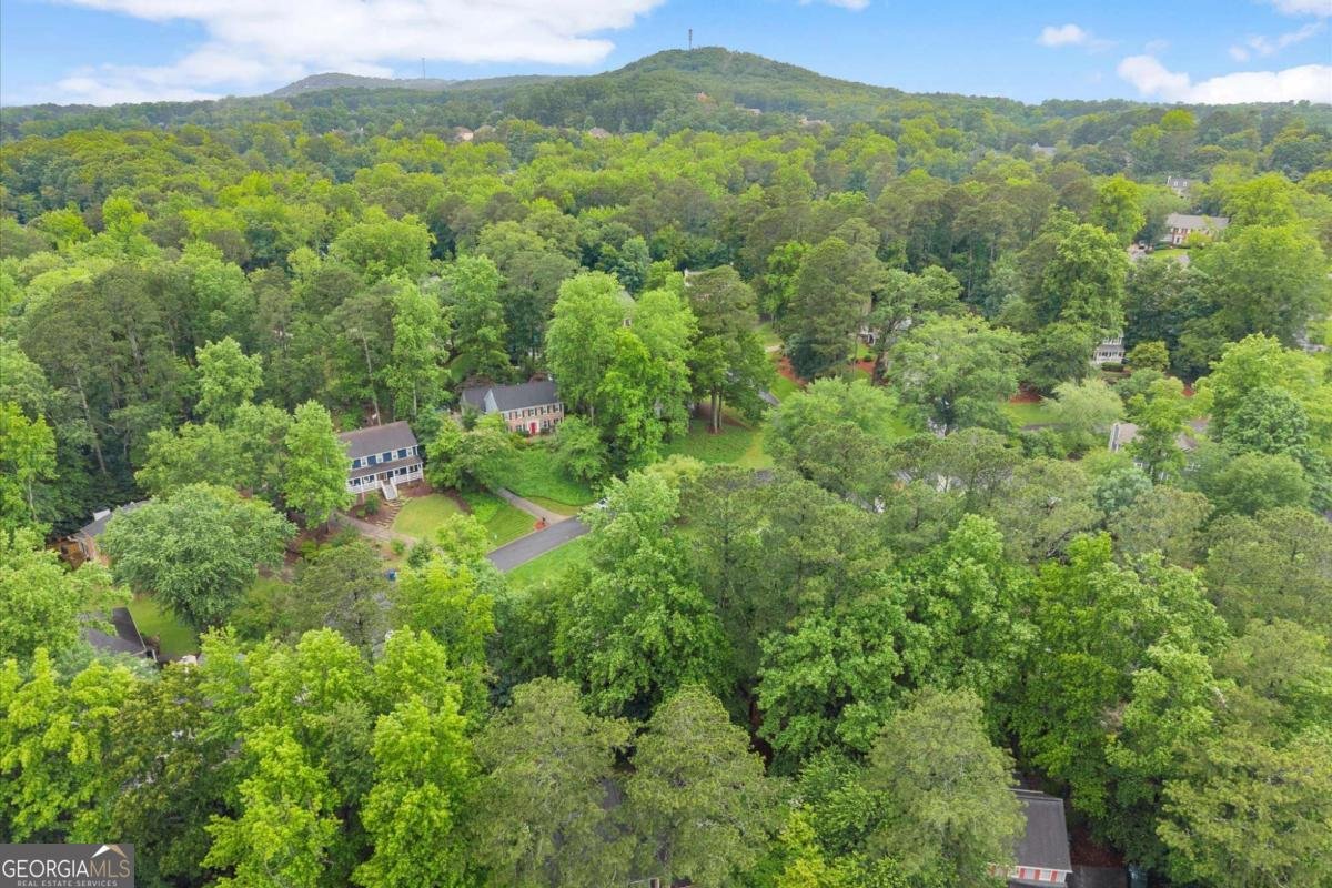 1541 Kinglet Lane Marietta - Photo 43